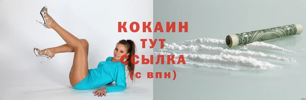 мяу мяу мука Балахна