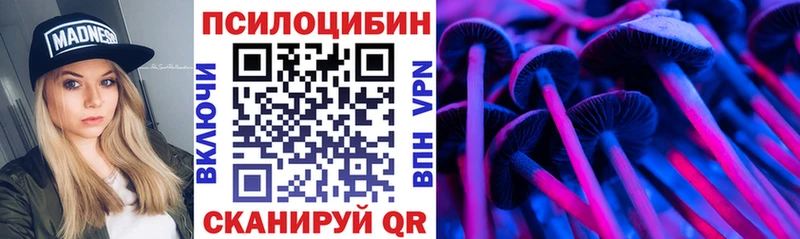 Галлюциногенные грибы мицелий Купить где Судогда